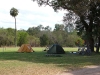 Nice shady, grassy campground at Musgrave.