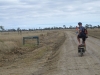 Ed entering Nifold Plain. Lakefield NP. This is a 10km stretch of open country featuring multitudes of termite mounds.