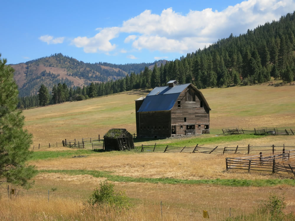the ubiquitous American barn,